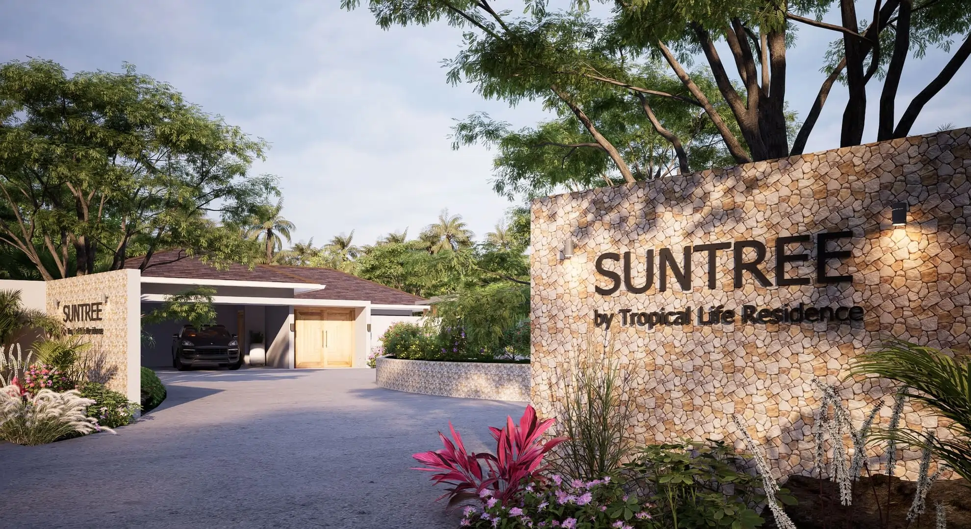 SUNTREE1